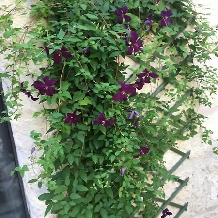 Guest house Sur Jardin Secret - Centre - Climatisee Avignon